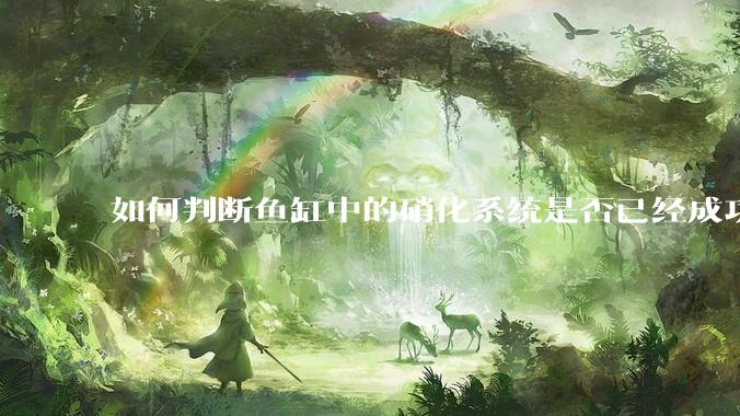 如何判断鱼缸中的硝化系统是否已经成功建立？