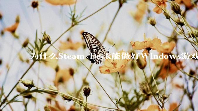 为什么Steam Deck能做好Windows游戏转译但是Apple Mac就做不好？
