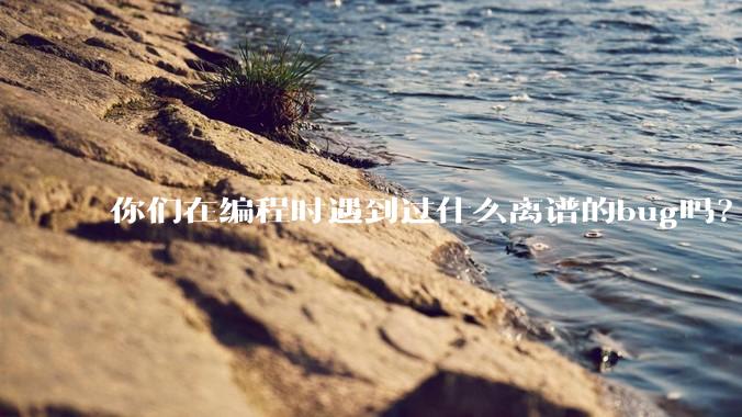 你们在编程时遇到过什么离谱的bug吗？