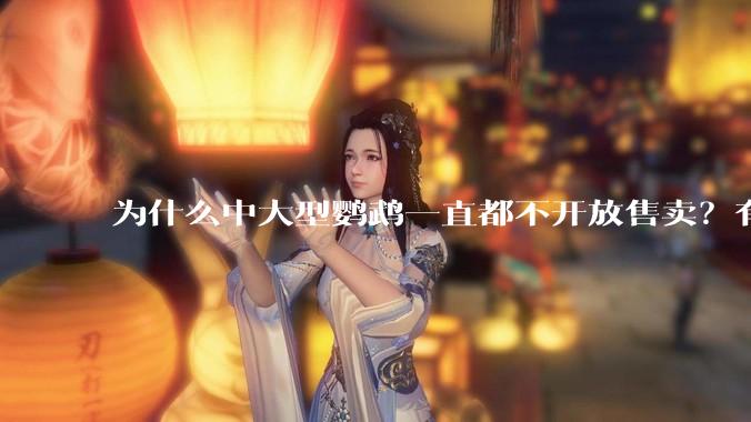 为什么中大型鹦鹉一直都不开放售卖？有哪些原因呢?
